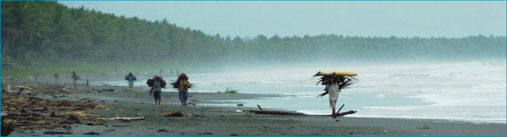 Beach viiew_Papuan Gulf