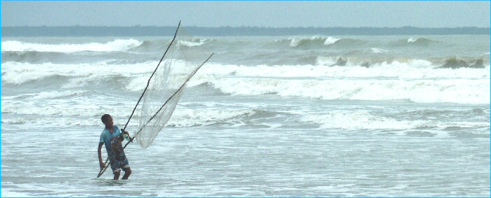 Netting_Gulf of Papua